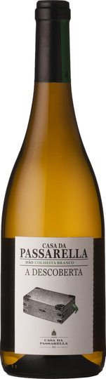 A Descoberta Branco 2020, Casa da Passarella