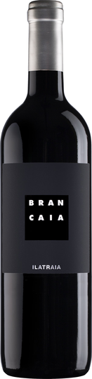 Ilatraia Maremma 2018, Casa Brancaia
