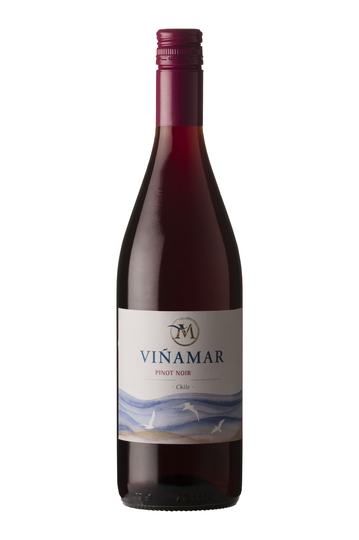 Pinot Noir Vinamar 2021, Viñamar
