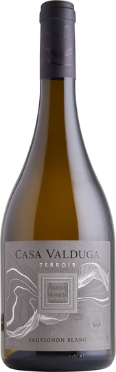Terrior Sauvignon Blanc 2021, Casa Valduga