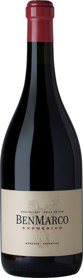 BenMarco Expresivo Malbec 2019, Susana Balbo