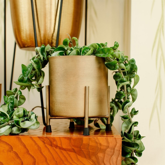 Gold Metal Planter