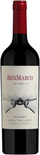 BenMarco Sin Limites Malbec 2019, Susana Balbo